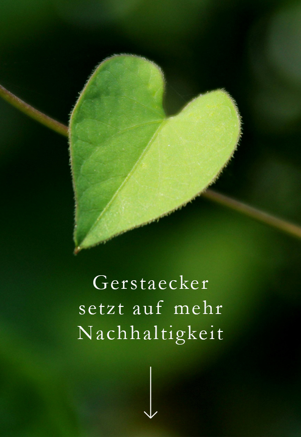 zu unseren Nachhaltigen Produkten