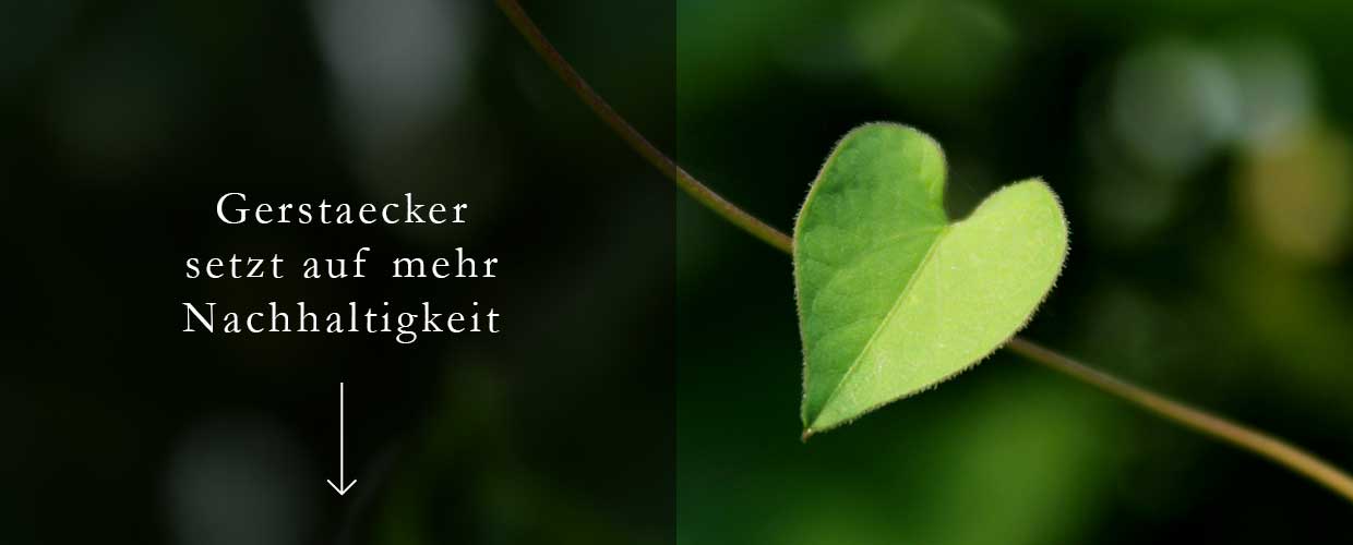 zu unseren Nachhaltigen Produkten